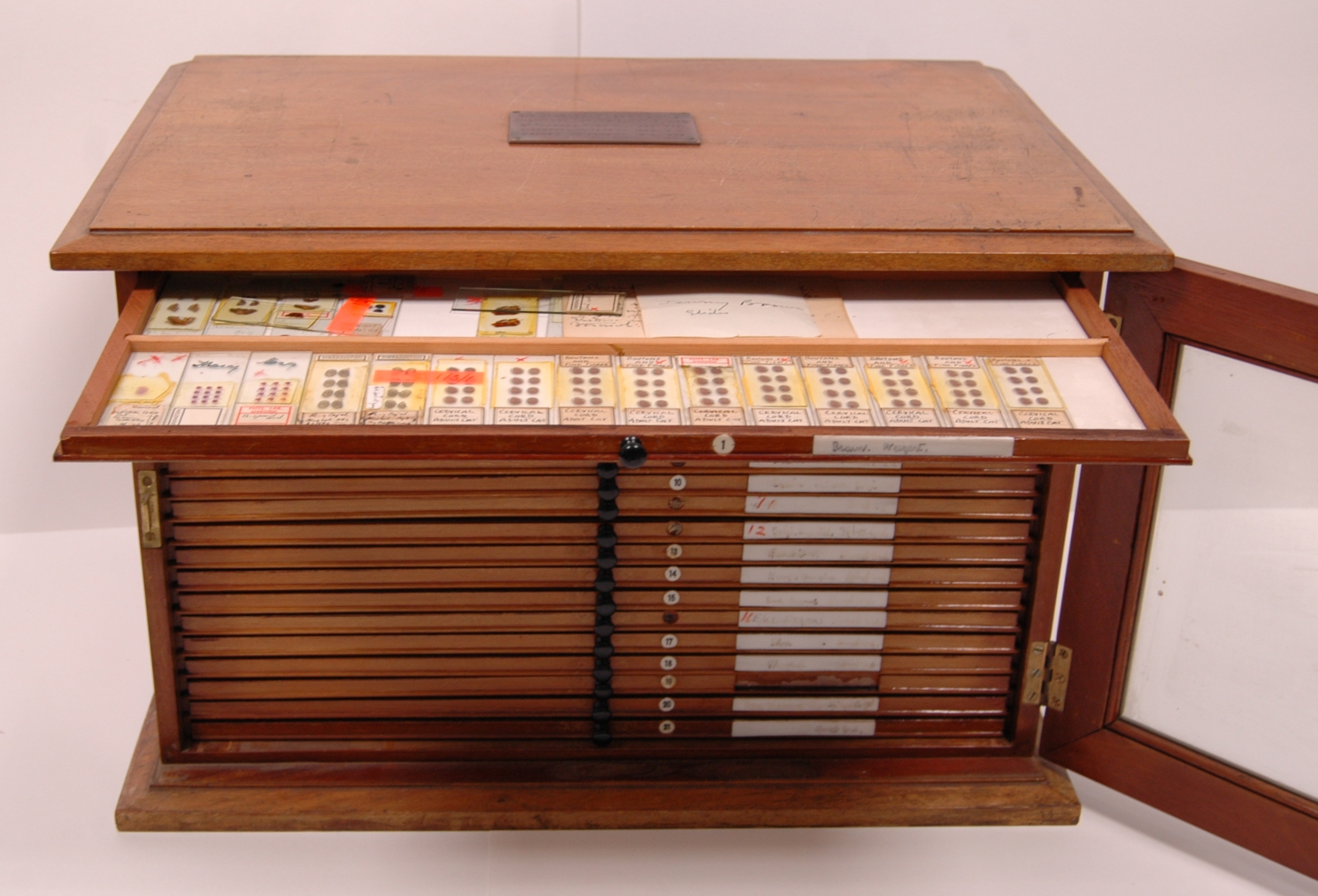 4 Case Library